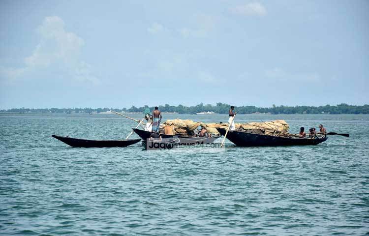 হাওরের মাঝে মাছ ধরার উৎসব চলছে। এই সব মাছ ধরে জীবীকা নির্বাহ করে। ছবি : মাহবুব আলম।