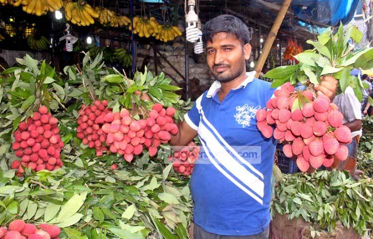 রাজধানীসহ দেশের বিভিন্ন ফলের দোকানে এখন লিচুর আলাদা কদর রয়েছে। ছবি : বিপ্লব দিক্ষিৎ।