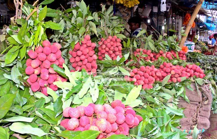 রসালো লিচু খেতে যেমন সুস্বাদু, তেমন দেখতেও অনেক সুন্দর। রাজশাহী ও দিনাজপুর থেকে রাজধানীতের প্রতিদিন বাহারী লিচু আসছে। ছবি : বিপ্লব দিক্ষিৎ।