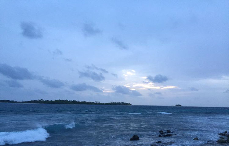 মালদ্বীপে সমুদ্র ভ্রমণে পর্যটকদের ১২০ ফুট গভীর সমুদ্রর তলদেশ পর্যন্ত নিয়ে যায়। গভীর সমুদ্রর তলদেশে বিশাল বিশাল মাছ, গাছ-গাছালি, ভয়ংকর প্রাণী, উঁচু-নিচু পাহাড় দেখে মুগ্ধ হন পর্যটকরা। ছবি : রিফাতুল হক।