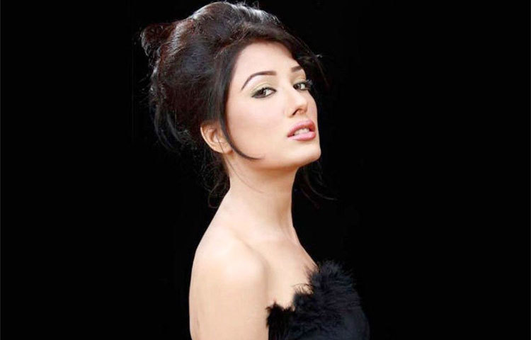 মেহউইশ হায়াত : তিনি অভিনয় নিয়ে বর্তমানে তুমুল ব্যস্ত রয়েছেন।