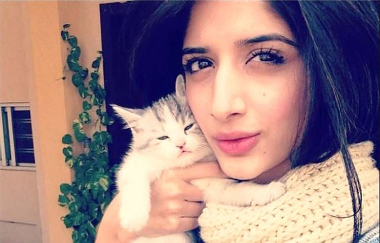 বিড়াল তার খুবই পছন্দের। সময় পেলেই নিজের পোষা বিড়ালের সঙ্গে ছবি তুলে আপলোড করেন ইনস্টাগ্রামে।