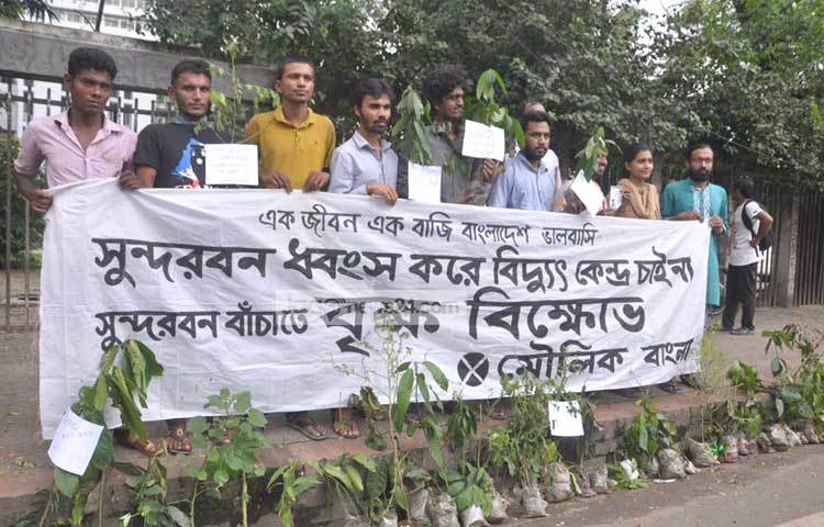 মৌলিক বাংলা আয়োজনে &lsquo;সুন্দরবনকে বাচাঁতে বৃক্ষ বিক্ষোভ&rsquo;-এর আয়োজন করেছে।