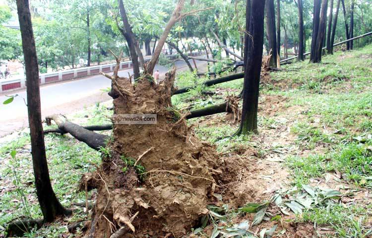 গতকালের রোয়ানুর তাণ্ডবে লন্ডভন্ড হয়েছে চট্টগ্রামের বিভিন্ন এলাকা। আজ সকালে চট্টগ্রামের টাইগারপাস এলাকা থেকে এ দৃশ্য কামেরাবন্দি করেছেন আলোকচিত্রী বিপ্লব দিক্ষিৎ।