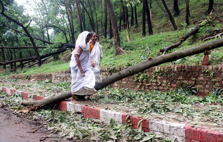 গাছপালা ভেঙ্গে সড়কের উপরে পড়ায় মানুষের চলাচলে বিঘ্ন ঘটছে। ছবি : বিপ্লব দিক্ষিৎ।