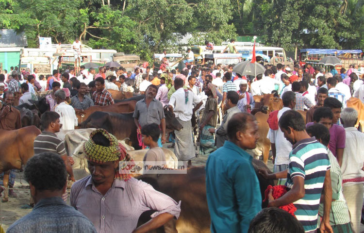শরীয়তপুর সদর উপজেলার মনোহর বাজার, জাজিরা কাজির হাট, নড়িয়া ভোজেশ্বর ও ঘড়িষাড়, গোসাইরহাট ইদিলপুর, ভেদরগঞ্জ সখিপুর গরুর হাট জেলার সবচেয়ে বড় হাট হিসেবে পরিচিত। ছবি : মো. ছগির হোসেন।