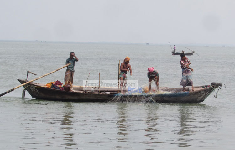 পদ্মার বুক থেকে জাল তুলছেন জেলেরা। সবাই অধীর আগ্রহে অপেক্ষা করছে কখন রুপালি ইলিশের দেখা মিলবে। ছবি : মো.ছগির হোসেন।