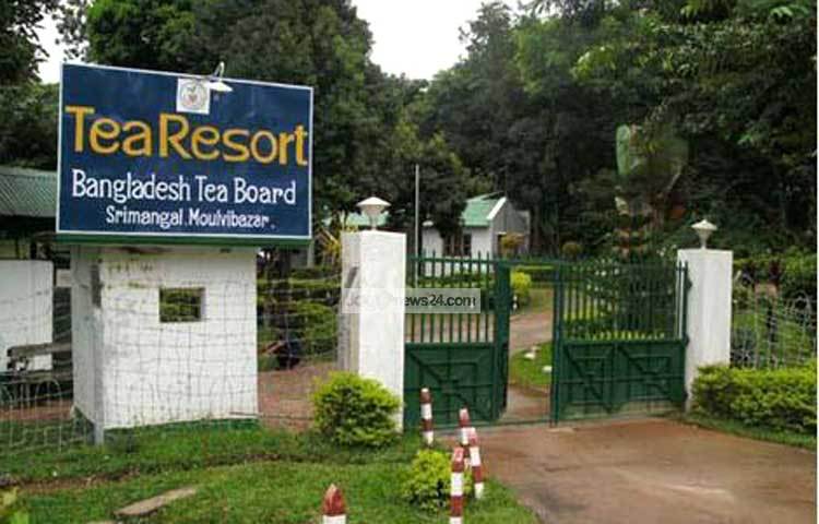 পর্যটকরা বারবার ছুটে আসেন চায়ের রাজধানীখ্যাত শ্রীমঙ্গলের চিরসবুজের শোভা আর বৃষ্টিস্নাত পাহাড়ি সৌন্দর্য দেখতে। ছবি : হৃদয় দেবনাথ।
