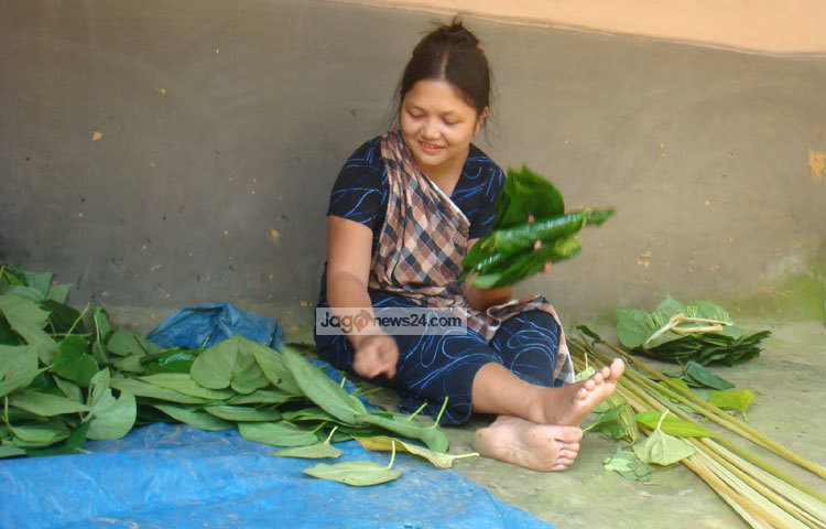 চায়ের পাশাপাশি শ্রীমঙ্গলে পানের চাষও হয়ে থাকে। পান সংগ্রহ করে তার বাজারজাত করার জন্য ব্যস্ত রয়েছেন এক নারী। ছবি : হৃদয় দেবনাথ।