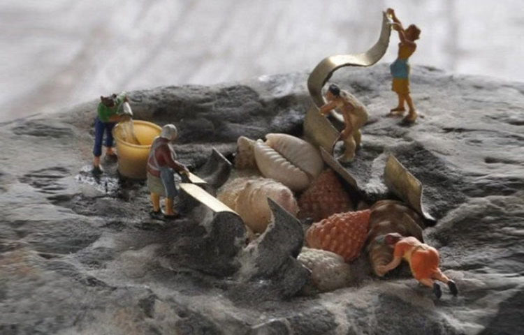 জাপানের মাৎসুমতো শহরে তার বাড়ির পাশেই রয়েছে নদী। সেই নদীর ধার থেকে হালকা ওজনের এই সব পাথর জোগাড় করেন হিরোতোশি।