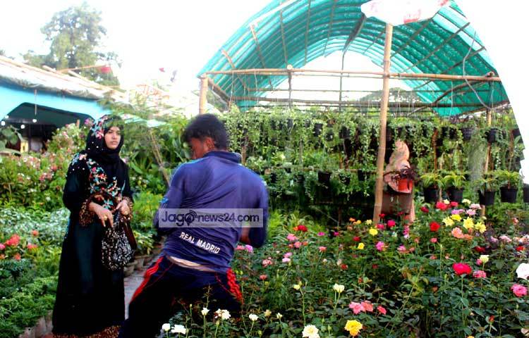 বৃক্ষমেলায় আগত এক দর্শনার্থী গোলাপ ফুলের বাগান দেখছেন। এ বাগানে নানা জাতের গোলাপ গাছের সমাহার রয়েছে। ছবি : বিপ্লব দিক্ষিৎ।