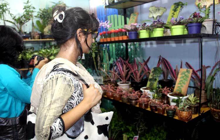 বৃক্ষমেলায় বিভিন্ন গাছের টপ শোভা পাচ্ছে। শহুরে মানুষ এসব টপ বাসায় কিংবা ব্যালকনিতে সাজিয়ে রাখার জন্য কিনছেন। ছবি : বিপ্লব দিক্ষিৎ।