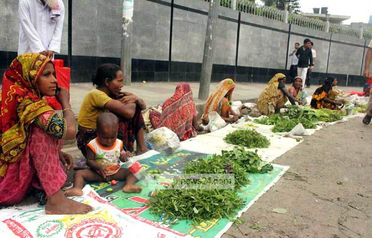 বুনো সবজি ব্যাবসায়ীদের এসব সবজির মধ্যে রয়েছে কচু শাক, মালঞ্চ শাক, বুনো কচুর ফুল প্রভৃতি। ছবি : বিপ্লব দিক্ষিৎ।