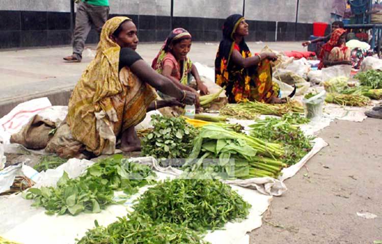 এসব বুনো সবজি সাধারণত দরিদ্র নারীরা সংগ্রহ করে থাকেন। ছবি : বিপ্লব দিক্ষিৎ।