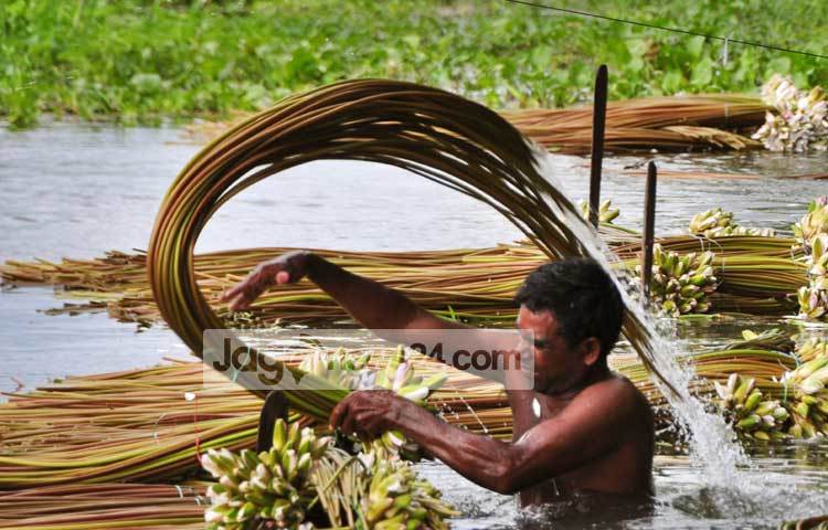 তেমন কোনো পুঁজির প্রয়োজন না হওয়ায় বিভিন্ন বয়সের লোক এ পেশায় অংশ নিয়ে জীবীকা নির্বাহ করছে। ছবি : বিপ্লব দিক্ষিৎ।