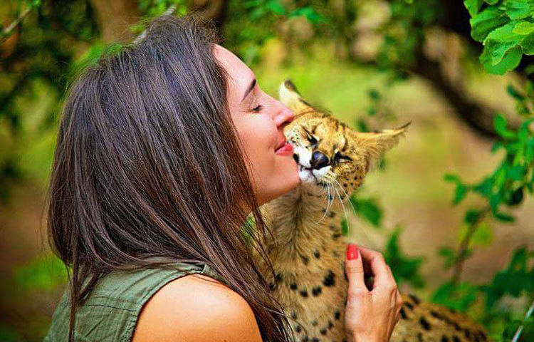 চিতা বাঘের সঙ্গে উষ্ণ আলিঙ্গন। এমন বন্ধুত্বে &lsquo;বন্যেরা বনে সুন্দর&rsquo;-চিরায়ত কথাকে মিথ্যা প্রমাণ করেছে। ছবি : আই লাভ আফ্রিকা ।