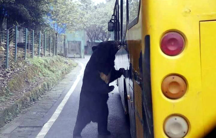 পৃথিবীর সমস্ত&nbsp; হিংস্র পশুদের নিয়ে আসা হয়েছে এই চিড়িয়াখানায়।