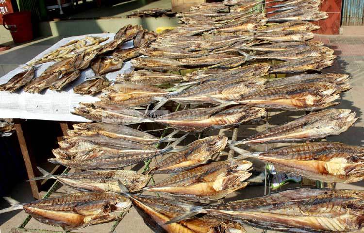 খাতুনগঞ্জে নানা ধরনের শুঁটকি মাছ পাওয়া যায়। ছবি : বিপ্লব দিক্ষিৎ।