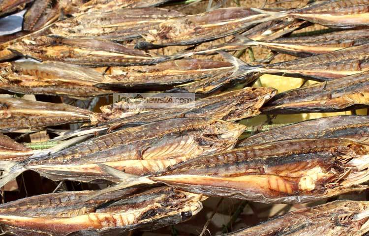 আমেরিকা, মালয়েশিয়া প্রভৃতি দেশে &lsquo;এ&rsquo; গ্রেডের বা ভালো মানের শুঁটকির বেশি চাহিদা রয়েছে। ছবি : বিপ্লব দিক্ষিৎ।