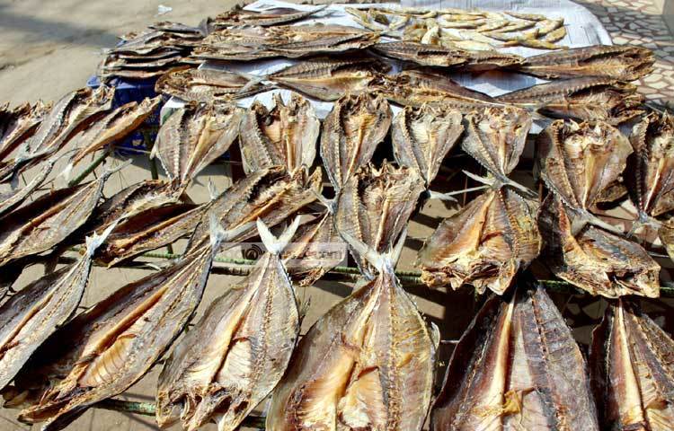 দেশের বিভিন্ন বিভাগীয় ও জেলা শহরের মৎস্য ব্যবসায়ীরা এখান থেকে শুঁটকি মাছ সংগ্রহ করেন। ছবি : বিপ্লব দিক্ষিৎ।