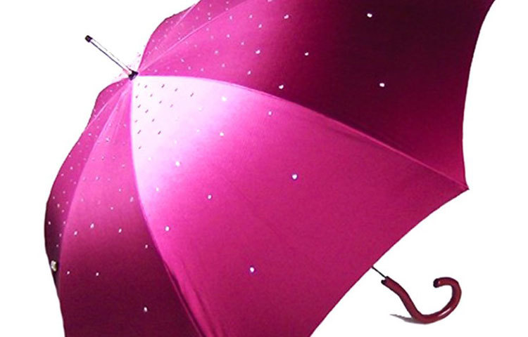 এ ছাতার নাম &lsquo;পাসোট্টি&rsquo; ইতালিয়ান আমব্রেলা উইথ সোয়ারোভস্কি ক্রিস্টালস। এর দাম ৩৬০ ডলার। এই ছাতাগুলির প্রতি ডিজাইনই অল্প সংখ্যক তৈরি করা হয়। ছাতাটির মাপ ৩৬ ইঞ্চি চওড়া এবং ৩৪ ইঞ্চি লম্বা।