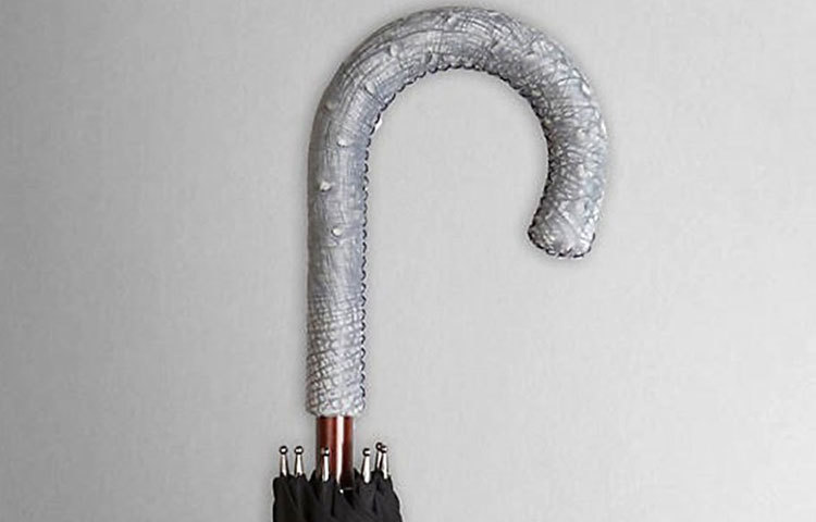 এটির নাম বুরবেরি ব্র্যান্ডের নুবুক অসট্রিক হ্যান্ডেল ওয়াকিং আমব্রেলা। এটির দাম ৮৫০ ডলার। ব্রিটিশ ব্র্যান্ড বুরবেরির এই ছাতাকে ব্রিটিশ স্টাইলের সঙ্গে সমর্থক বলে চিহ্নিত করা হয়। ছাতার বিশেষ আকর্ষণ এর হ্যান্ডেলটি। যেখানে অস্ট্রিচের চামড়ার উপরে নজরকাড়া কারুকার্য করা থাকে। এ ছাতার কাপড় ওয়াটার রেসিস্ট্যান্ট পলিস্টার কাপড়ের।