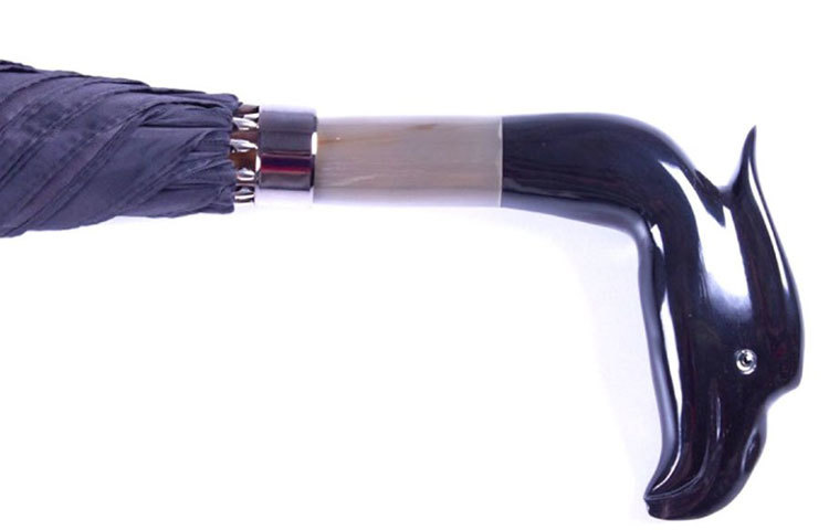 এটির নাম &lsquo;মারিও তালারিকো&rsquo; হর্ন ঈগল আমব্রেলা। এর দাম ৬৫০ ডলার। ইতালির নেপলসের সংস্থা মারিও তালারিকো পুরুষদের জন্য অসাধারণ নকশার এ ছাতা তৈরি করে। যা গোটা বিশ্বে সমাদৃত। প্রতিটি ছাতার নকশা এবং কারুকার্য অন্যটির থেকে আলাদা।