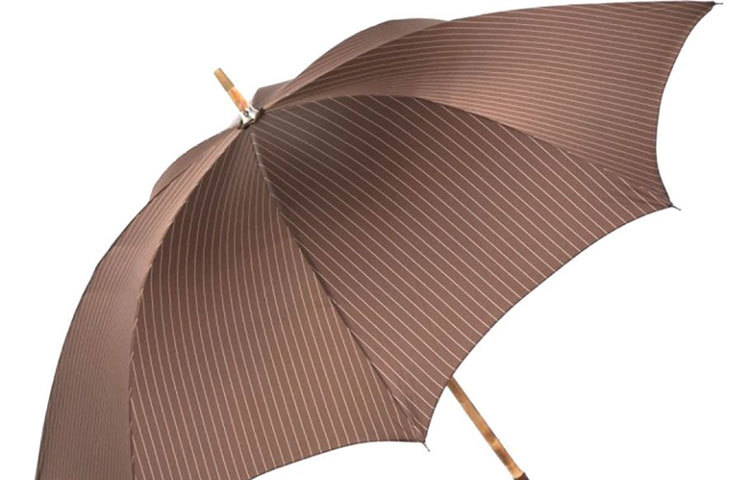 &lsquo;মাগিলিয়া ফ্রান্সেসকো&rsquo; চেরি উড ওয়ান পিস আমব্রেলা। এর দাম ৪৯৫ ডলার। ইতালির মিলানের ওয়ার্কশপে হাতে তৈরি করা হয় এই ছাতাটিকে। হাতের নিপুণ কারুকার্যের জন্যই এই ছাতাগুলি জনপ্রিয় হয়েছে। এ ছাতাটি প্রায় ৩৭ ইঞ্চি লম্বা।