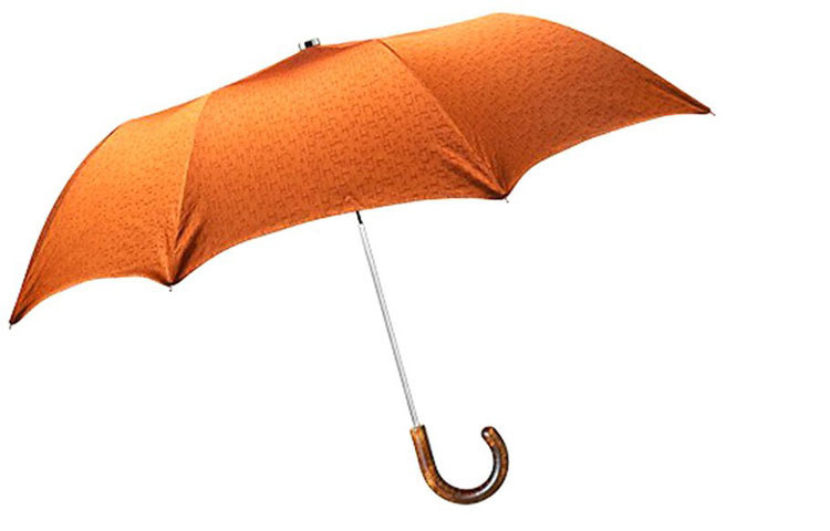 হার্মেস &lsquo;প্লুইয়ে ডি এইচ&rsquo; ফোল্ডিং আমব্রেলা। এর দাম ৪৮৫ ডলার। ফরাসি ফ্যাশন সংস্থা হার্মেস হ্যান্ডব্যাগসহ বিভিন্ন বিলাসবহুল ফ্যাশন প্রোডাক্ট তৈরির জন্য বিখ্যাত। সেই সংস্থার তৈরি এ ডিজাইনের ছাতাটি যেমন নজরকাড়া, তেমনই বর্ষা থেকে বাঁচানোর ক্ষেত্রেও দারুণ কাজের। এই ছাতাটি ৩৯ ইঞ্চি চওড়া।