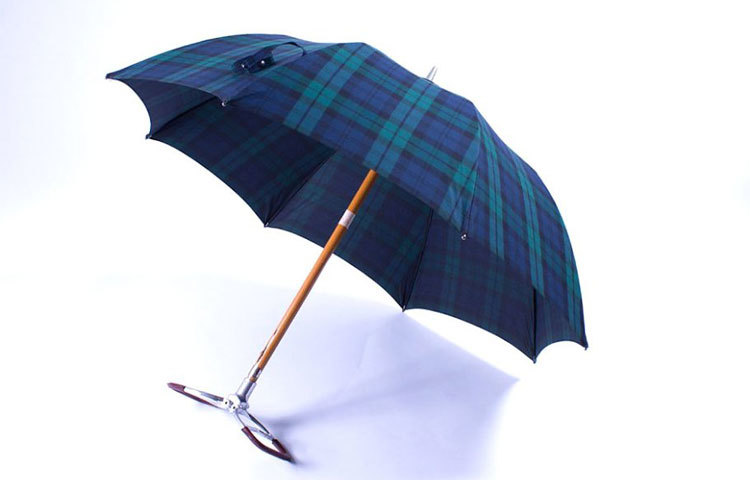 এটির নাম &lsquo;ম্যাগিলা ফ্রান্সেসকো&rsquo; ব্লাকওয়াচ স্পোর্টস সিট আমব্রেলা। এর দাম ৪৫০ ডলার। ব্রিটেনের রানি এলিজাবেথ এই ছাতা ব্যবহার করেন। ফ্রান্সেসকো মিলানের একটি সংস্থা ১৮৫৪ সাল থেকে এই সংস্থা ছাতা তৈরির জন্য বিখ্যাত। ৭০টি ধাপ পেরিয়ে এর এক একটি ছাতা তৈরি হয়। ছাতাটি ২৪ ইঞ্চি চওড়া।