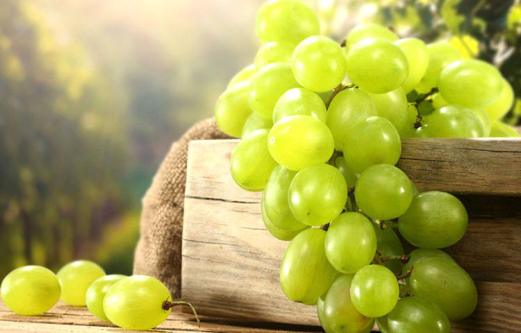 আঙুর : রমজানে শরীরের পানির পরিমাণ কমে যায়। আঙুরে প্রচুর পরিমাণে পানি রয়েছে। আঙুর রমজানে মুখ শুকিয়ে যাওয়া দূর করবে।