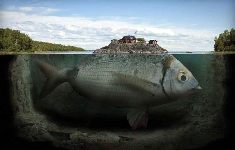 মাছ পানিতে বাস করে। মাছের মাথার উপর থাকে বিশাল জলরাশি। কিন্তু এই ছবিতে রয়েছে ভাসমান মাছের উপর একটি পৃথিবী।