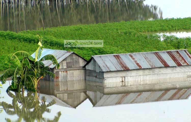 বন্যার পানিতে জামালপুরের ইসলামপুরের বেলগাছা ইউনিয়নের জারুলতলা গ্রামের ঘর-বাড়ি পানিতে তলিয়ে গেছে।