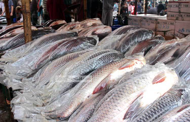 যাত্রাবাড়ীর মাছের বাজারে তাজা সব ধরনের মাছ যাওয়া যায়। বিশেষ করে রমজানের সময়ে এখানে মাছের বিক্রির পরিমাণ বেড়ে যায়। ছবি : বিপ্লব দিক্ষিৎ।