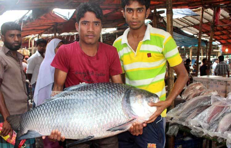 মাছ নিয়ে ফটোসেশনে এক বিক্রেতা। মাছটি বিক্রির জন্য তিনি বেশ দর কষাকষি করছেন। ছবি : বিপ্লব দিক্ষিৎ।