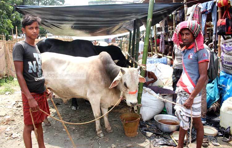 নির্বিঘ্নে পশু বিক্রি করে বাড়ি ফিরতে পারবেন এ প্রত্যাশা করছেন ব্যবসায়ীরা। আলোকচিত্রী : বিপ্লব দিক্ষিৎ।