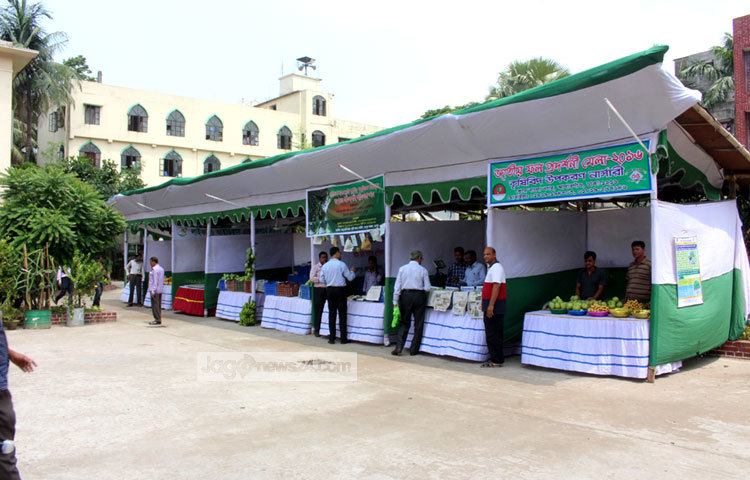 রাজধানীর খামার বাড়িতে ফলদ বৃক্ষ রোপণ পক্ষ-২০১৬ উপলক্ষে ফল মেলা চলছে। ছবি : বিপ্লব দিক্ষিৎ।
