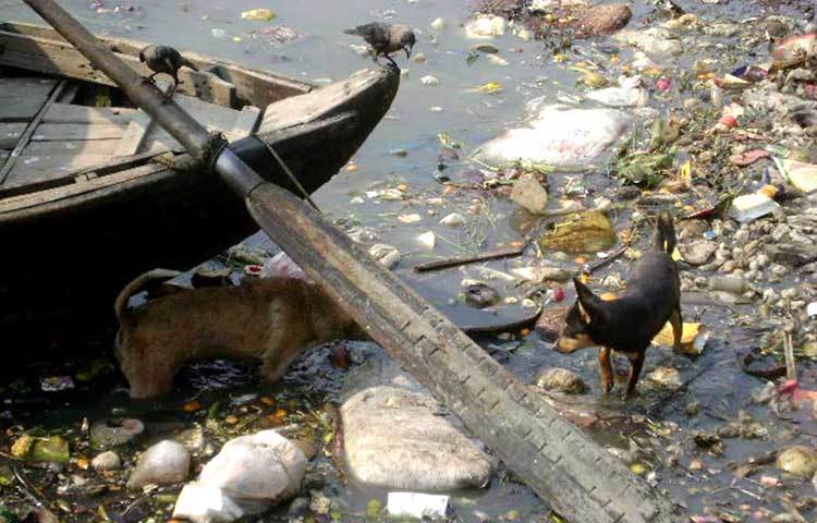 প্রতিদিন হাজারো রকমের ময়লা-আবর্জনা ফেলে শীতালক্ষ্যাকে দূষিত করা হচ্ছে। নদীর কাছে এলেই পঁচা গন্ধে নিঃশ্বাস নেওয়া কষ্টকর। ছবি : বিপ্লব দিক্ষিৎ।