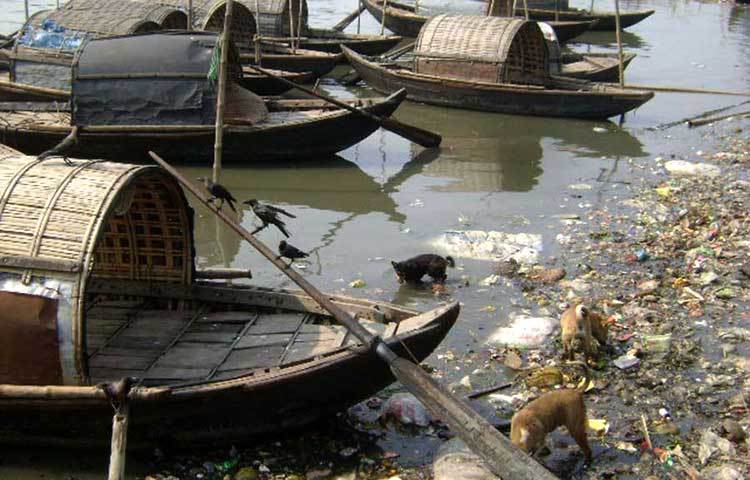 দূষণের হাত থেকে এই নদীকে রক্ষা করতে না পারলে আমাদের আগামী প্রজন্মের কাছে শীতালক্ষ্যার ঐতিহ্য রূপকথার গল্প হয়েই থাকবে। ছবি : বিপ্লব দিক্ষিৎ।