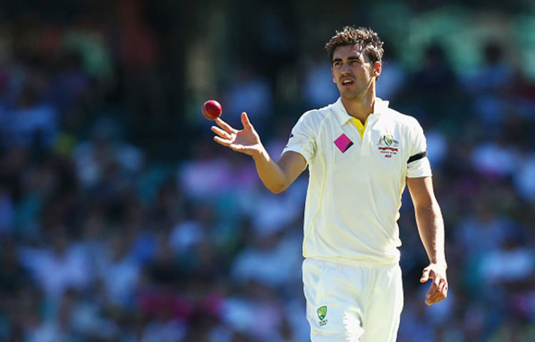 মিচেল স্টার্ক : অস্ট্রেলিয়ান পেসার মিচেল স্টার্ক চলতি বছরে ৪৫টি উইকেট নিয়েছেন। আইসিসির টেস্ট ক্রিকেট দলে বোলিং ডিপার্টমেন্ট জায়গা করে নিয়েছেন ২৬ বছর বয়সী এই বোলার।