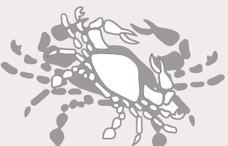 কর্কট : মুক্তোর শুভ্রতা, আকাশি রং খুবই শুভ। তবে, প্রতি সোমবার সাদা পোশাক আনতে পারে সৌভাগ্য।