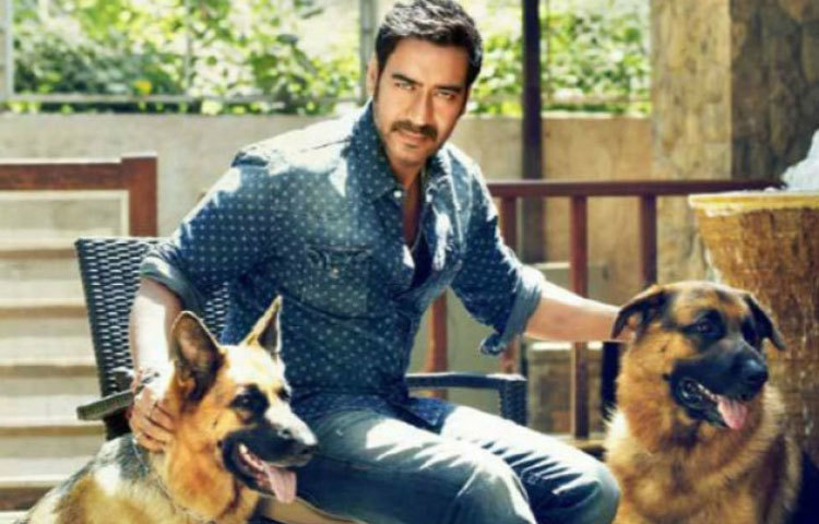 কোকো আর কোকি-কে ছাড়া একটা দিনও ভাবতে পারেন না অজয়। তাই সকালবেলাটা খুব স্পেশাল নায়কের কাছে। কারণ সকালের চা আর খবরের কাগজ নিয়ে বসলেই অজয়ের সঙ্গে খেলতে আসে কোকো আর কোকি।