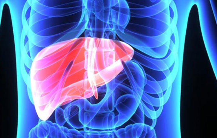 লিভারের সমস্যা : লিভারের সমস্যা থাকলে রসুন খাওয়া ছেড়ে দিন। রসুন সমস্যা বাড়িয়ে দিতে পারে।