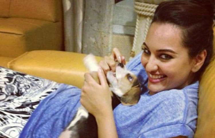 সোনাক্ষী সিনহা : তার পরিবারে পোষ্যের সংখ্যা তিন। ন্যান্সি, কুরো ও সিম্বা।