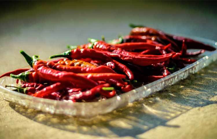 মরিচ : যদি কখনও ভুল করে রান্নায় বেশি মুরিচ পড়ে গিয়ে থাকে তাহলে নিশ্চয়ই টের পেয়েছেন শরীর কেমন গরম হয়ে ওঠে? এর মানে হলুদের মতোই শরীরের তাপমাত্রা বাড়িয়ে দিয়ে ফ্যাট মেটাবলিজমে সাহায্য করে মরিচ।