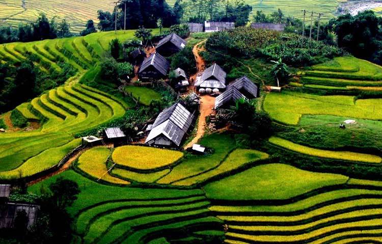 লাও চাই প্রভিন্স, ভিয়েতনাম : এই জায়গাটি মনে হচ্ছে ছবির মত সাজানো। একবার দেখলেই চোখ জুড়িয়ে যায়।