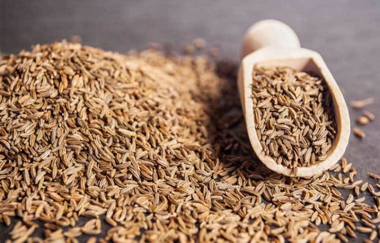 জিরা : জিরা এমনই এক মসলা যা রান্নায় মাত্র ১ চামচ দিলেই তা তিন গুণ পর্যন্ত বডি ফ্যাট কমাতে সাহায্য করে।