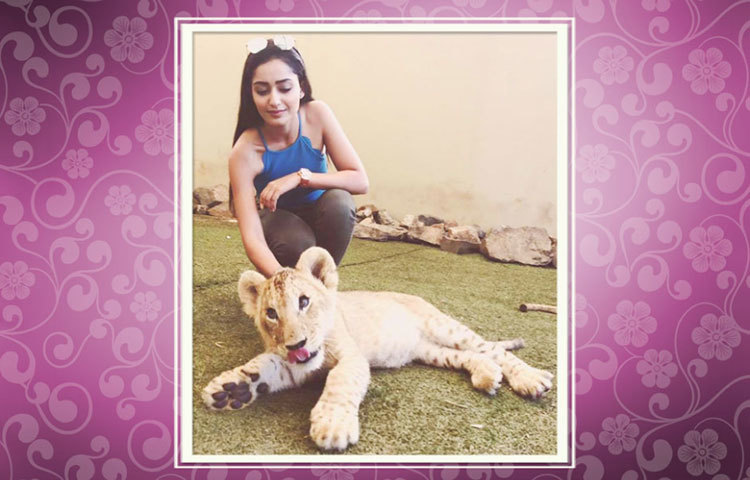 আর বাঞ্জি জাম্পিংয়ের মতো অ্যাডভেঞ্চার স্পোর্টস যিনি ভালবাসেন, সিংহশাবকের সঙ্গে খেলাধুলা তার কাছে কোনো ব্যাপারই না।