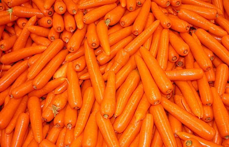 গাজর : আপেলের মতই কাঁচা গাজর দাঁতের জন্য ভীষণ উপকারী। গাজর খেলে দাঁতের ফাঁকে ঢুকে থাকা খাদ্যকণা বেরিয়ে আসে। এছাড়া তা দাঁত ও মাড়ির স্বাস্থ্যের জন্য ভালো।