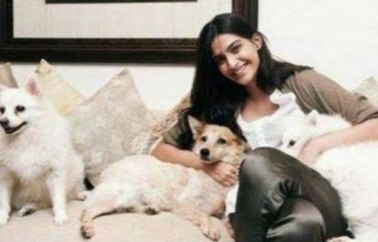 সোনম কাপুর : সোনমের অবসর সময় কাটে তিন পোষ্যের সঙ্গে। কোক, বাকার্ডি আর ফেদার তার তিন পোষ্য।